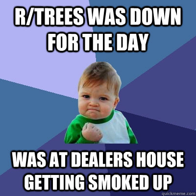 r/trees was down for the day was at dealers house getting smoked up - r/trees was down for the day was at dealers house getting smoked up  Success Kid