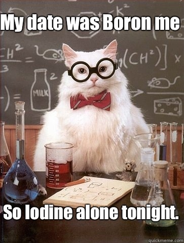 My date was Boron me  So Iodine alone tonight. 
  Chemistry Cat