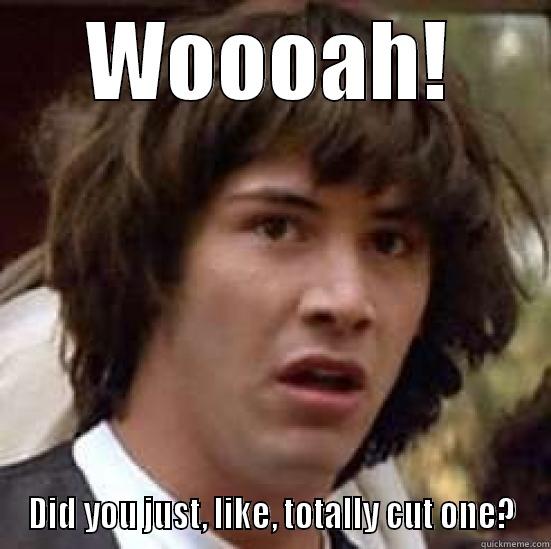 Bill's A-bombs - WOOOAH! DID YOU JUST, LIKE, TOTALLY CUT ONE? conspiracy keanu