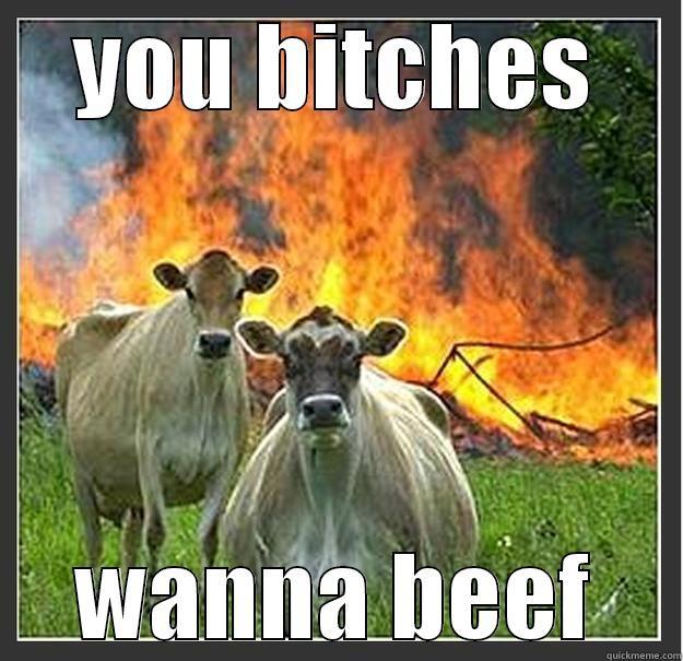 you wanna beef - YOU BITCHES WANNA BEEF Evil cows