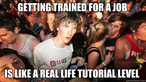 Getting trained for a job is like a real life tutorial level  Sudden Clarity Clarence