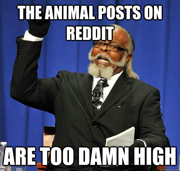 The animal posts on reddit Are too damn high  Jimmy McMillan