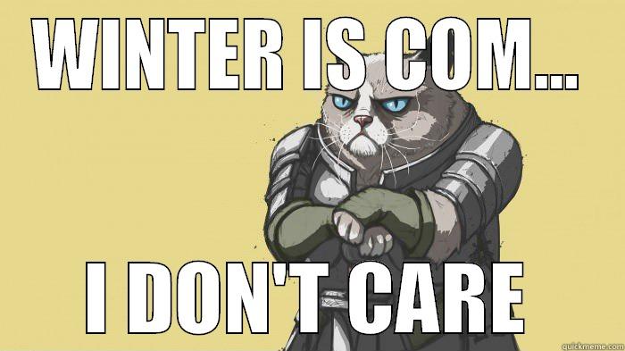 Winter is com... I don't care - WINTER IS COM... I DON'T CARE Misc