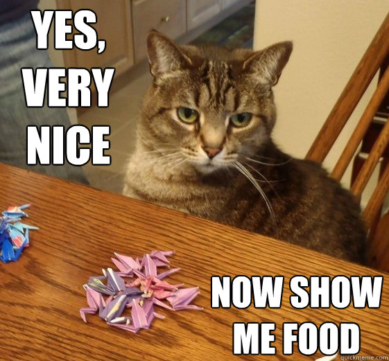 yes, very nice now show me food  quality control cat