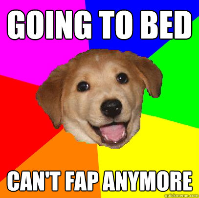 Going to bed Can't fap anymore  Advice Dog