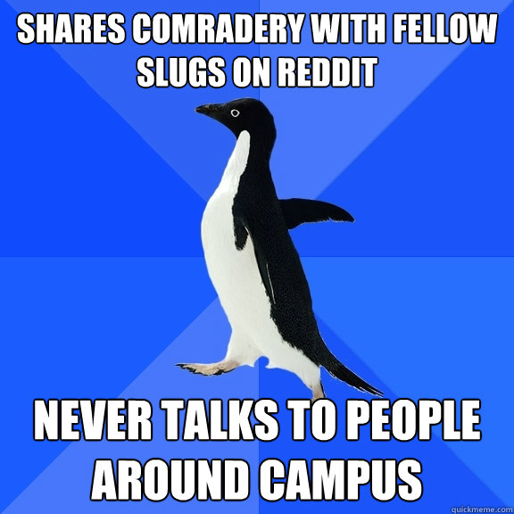 Shares comradery with fellow slugs on reddit Never talks to people around campus  Socially Awkward Penguin