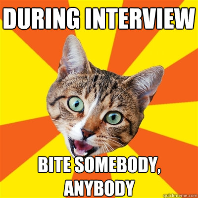 During interview bite somebody, anybody  Bad Advice Cat