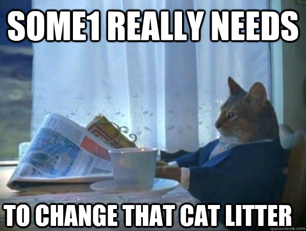 SOME1 REALLY NEEDS TO CHANGE THAT CAT LITTER  morning realization newspaper cat meme