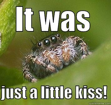 IT WAS  JUST A LITTLE KISS! Misunderstood Spider