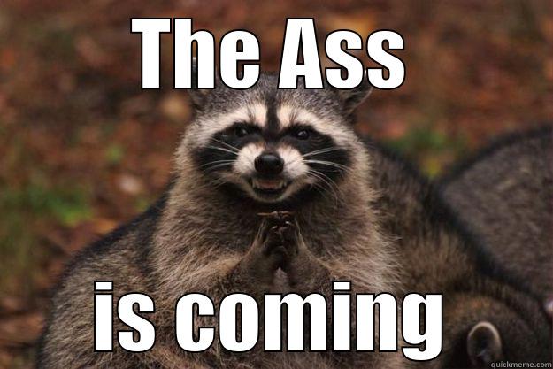 THE ASS IS COMING Evil Plotting Raccoon