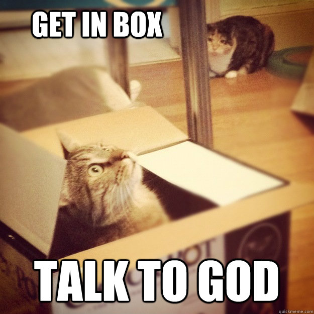 get in box talk to god  Cats wife