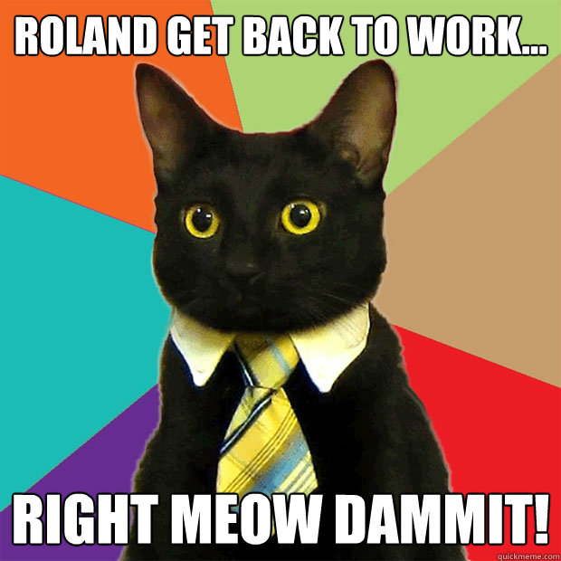 ROLAND GET BACK TO WORK... RIGHT MEOW DAMMIT!  Business Cat