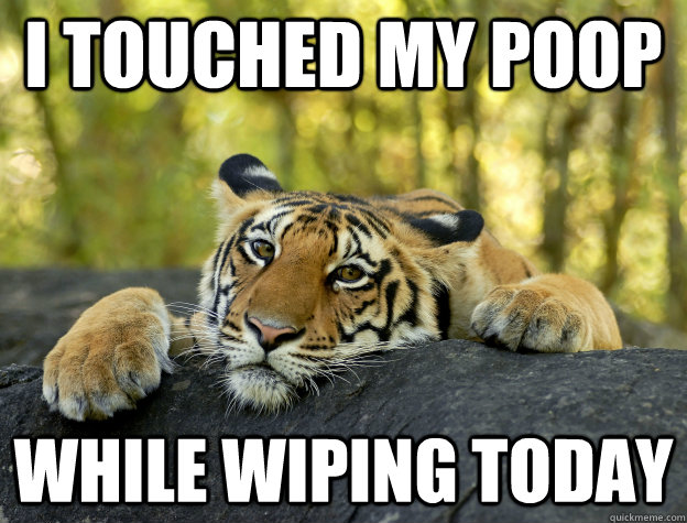 I touched my poop while wiping today  Confession Tiger