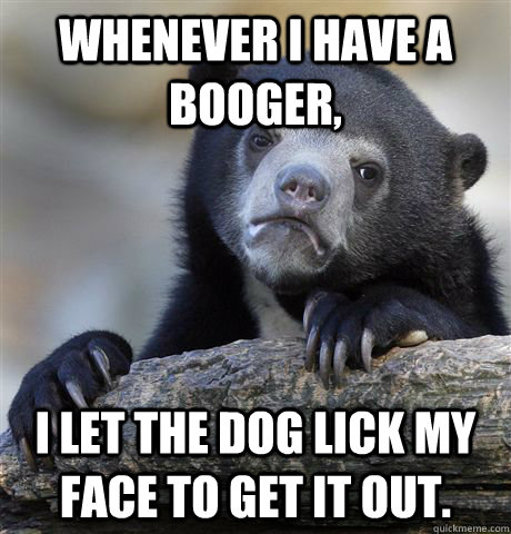 Whenever I have a booger, I let the dog lick my face to get it out. - Whenever I have a booger, I let the dog lick my face to get it out.  Confession Bear