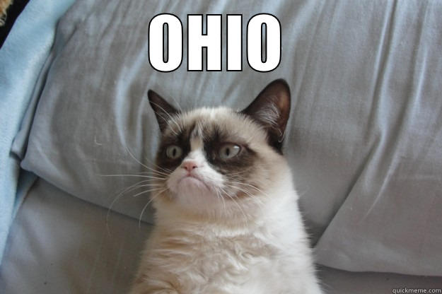 OHIO  Grumpy Cat