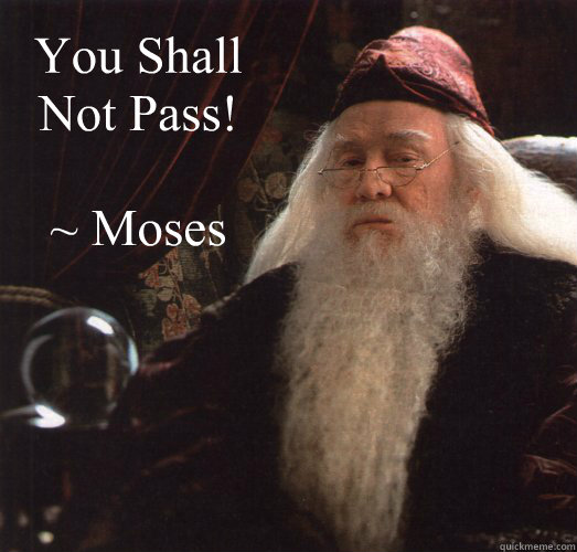 You Shall Not Pass!

~ Moses  Confused Religion Student