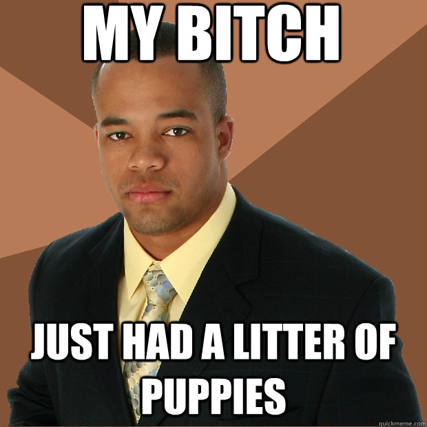 MY Bitch just had a litter of puppies  Successful Black Man