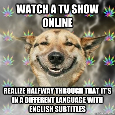 Watch a TV show online Realize halfway through that it's in a different language with english subtitles  Stoner Dog