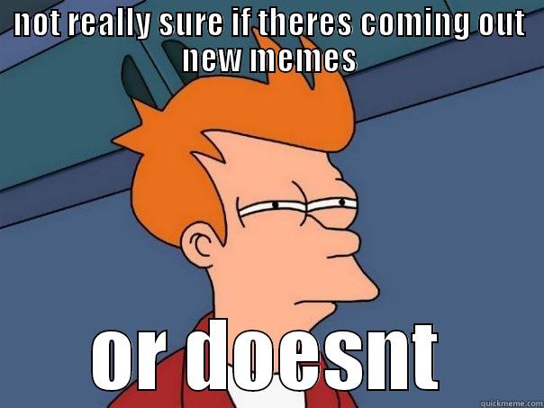 not rally sure - NOT REALLY SURE IF THERES COMING OUT NEW MEMES OR DOESNT Futurama Fry