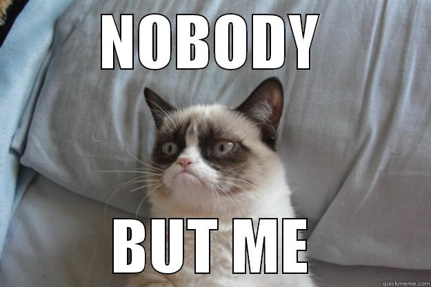 NOBODY BUT ME Grumpy Cat