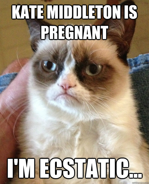 Kate Middleton is pregnant I'm ecstatic...  Grumpy Cat