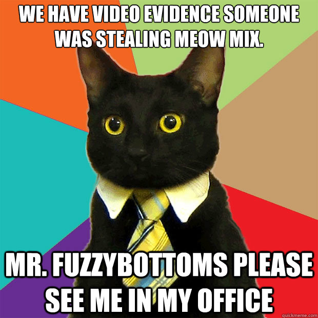 We have video evidence someone was stealing meow mix. mr. fuzzybottoms please see me in my office  Business Cat