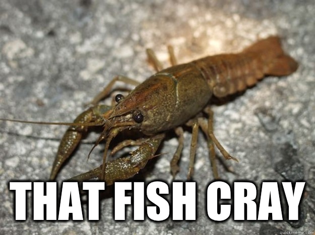  that fish cray  that fish cray