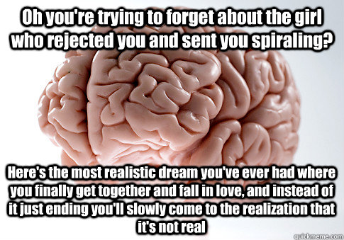 Oh you're trying to forget about the girl who rejected you and sent you spiraling? Here's the most realistic dream you've ever had where you finally get together and fall in love, and instead of it just ending you'll slowly come to the realization that it  Scumbag Brain