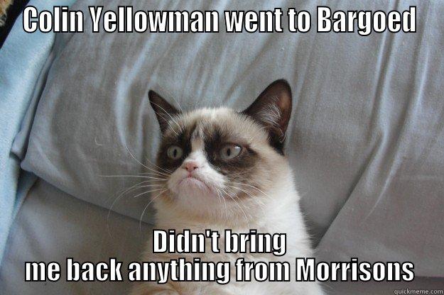 COLIN YELLOWMAN WENT TO BARGOED DIDN'T BRING ME BACK ANYTHING FROM MORRISONS Grumpy Cat