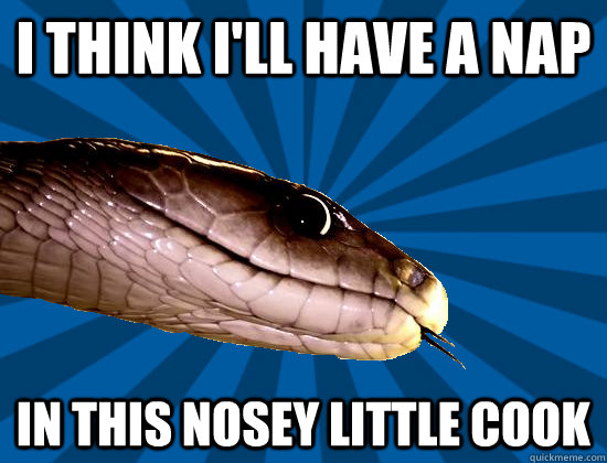 I think I'll have a nap In this nosey little cook - I think I'll have a nap In this nosey little cook  Spoonerism Snake