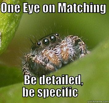 Need a hand? - ONE EYE ON MATCHING  BE DETAILED, BE SPECIFIC    Misunderstood Spider