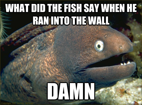 What did the fish say when he ran into the wall Damn - What did the fish say when he ran into the wall Damn  Bad Joke Eel