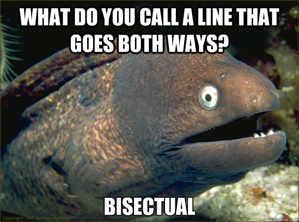 what do you call a line that goes both ways? bisectual  Bad Joke Eel