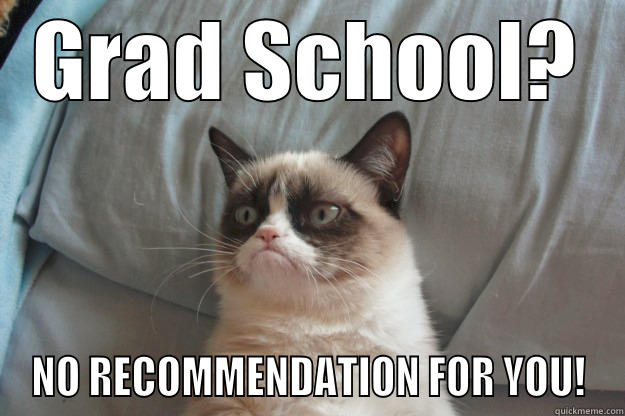 GRAD SCHOOL? NO RECOMMENDATION FOR YOU! Grumpy Cat