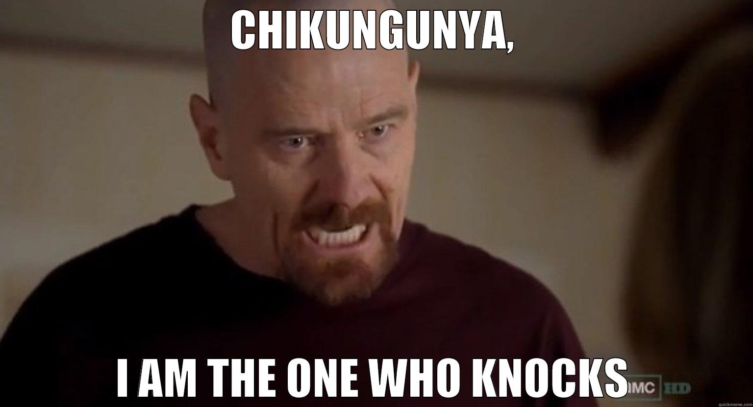 CHIKUNGUNYA, I AM THE ONE WHO KNOCKS Misc