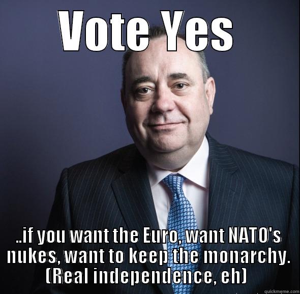 VOTE YES ..IF YOU WANT THE EURO, WANT NATO'S NUKES, WANT TO KEEP THE MONARCHY. (REAL INDEPENDENCE, EH)  Misc