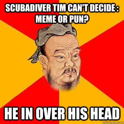 scubadiver Tim can't decide : meme or pun? he in over his head - scubadiver Tim can't decide : meme or pun? he in over his head  Confucius says