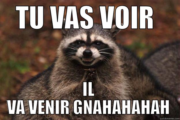 TU VAS VOIR  IL VA VENIR GNAHAHAHAH Evil Plotting Raccoon