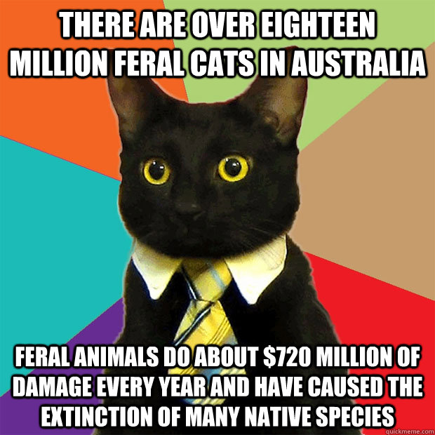 there are over eighteen million feral cats in australia feral animals do about $720 million of damage every year and have caused the extinction of many native species  Business Cat