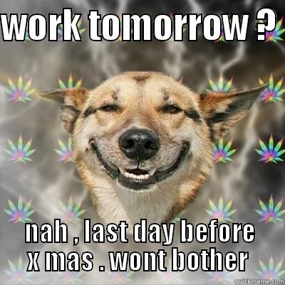 WORK TOMORROW ?  NAH , LAST DAY BEFORE X MAS . WONT BOTHER  Stoner Dog