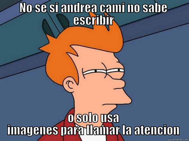 NO SE SI ANDREA CAMI NO SABE ESCRIBIR O SOLO USA IMAGENES PARA LLAMAR LA ATENCION Futurama Fry