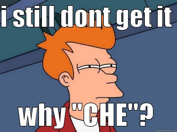 why che? - I STILL DONT GET IT  WHY ''CHE''? Futurama Fry