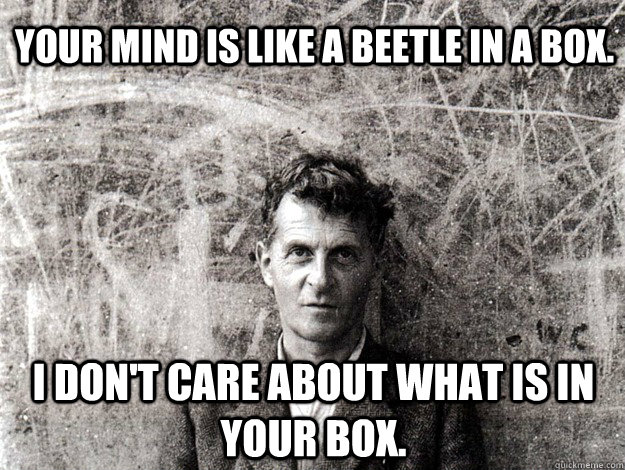 Your mind is like a beetle in a box. I don't care about what is in your box.  