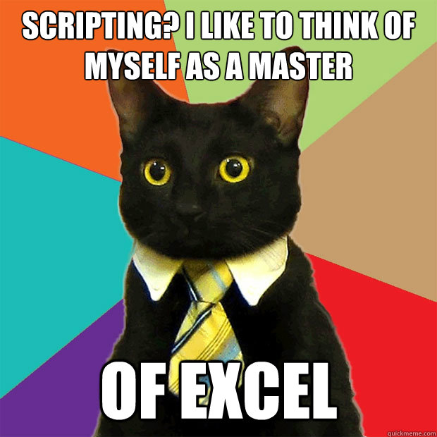 Scripting? I like to think of myself as a master of Excel  Business Cat