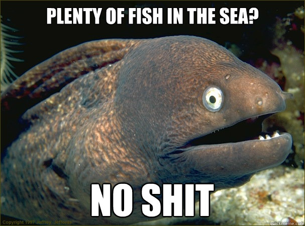 plenty of fish in the sea? no shit  Bad Joke Eel