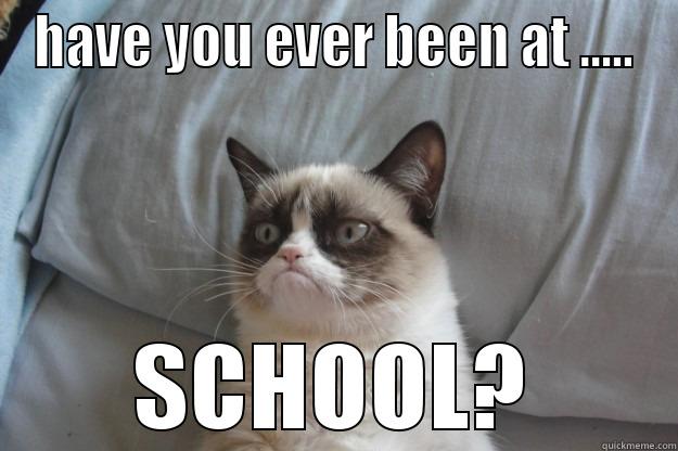 HAVE YOU EVER BEEN AT ..... SCHOOL? Grumpy Cat