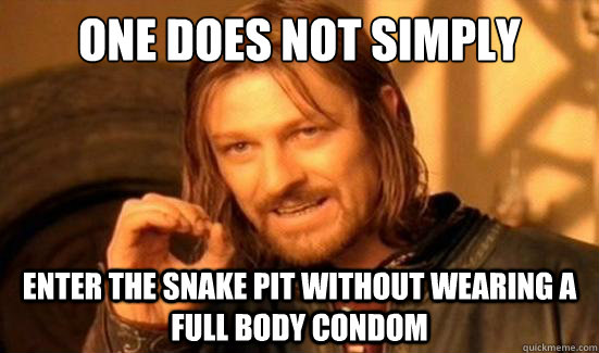 One Does Not Simply enter the snake pit without wearing a full body condom - One Does Not Simply enter the snake pit without wearing a full body condom  Boromir