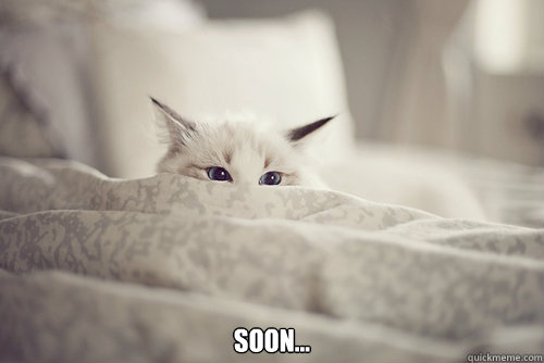  soon... -  soon...  Misc