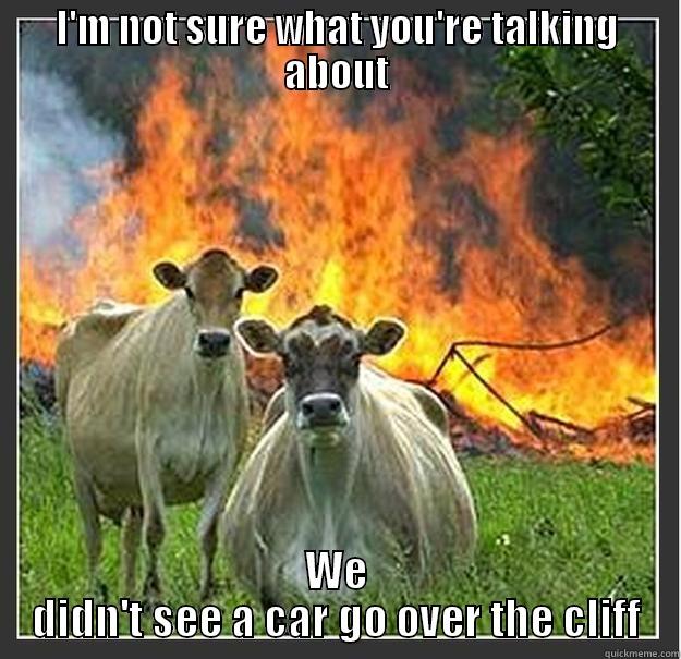 I'M NOT SURE WHAT YOU'RE TALKING ABOUT WE DIDN'T SEE A CAR GO OVER THE CLIFF Evil cows