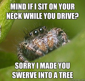 Mind if I sit on your neck while you drive? Sorry I made you swerve into a tree - Mind if I sit on your neck while you drive? Sorry I made you swerve into a tree  Misunderstood Spider